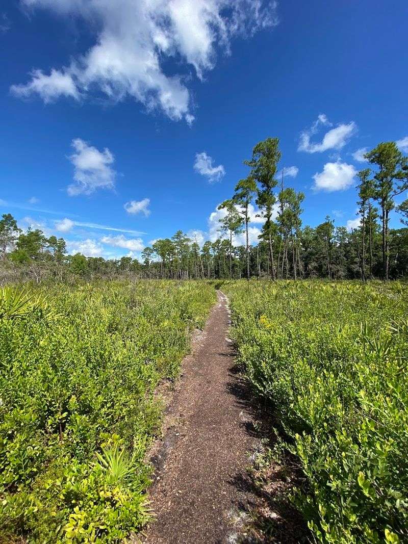 Wekiwa Springs State Park