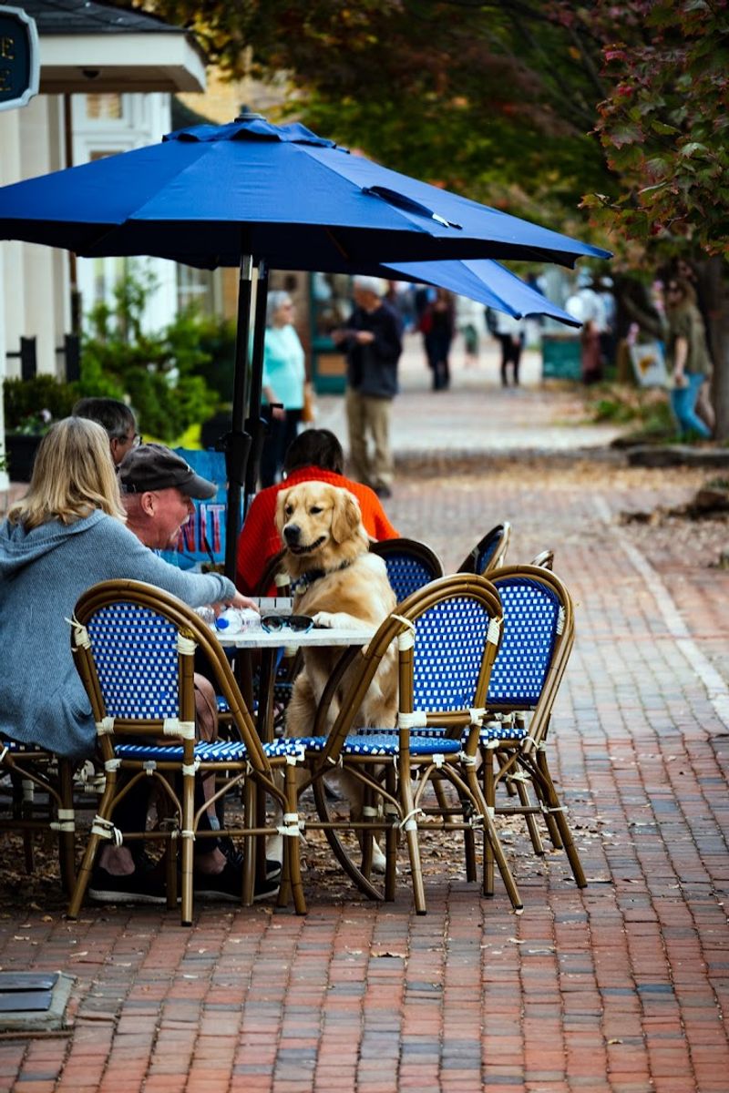 Pack Light For A Low-Key Getaway In These 10 Calm Maryland Towns - Decor Hint Chestertown