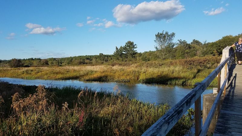 Explore The Trails At White Memorial Conservation Center