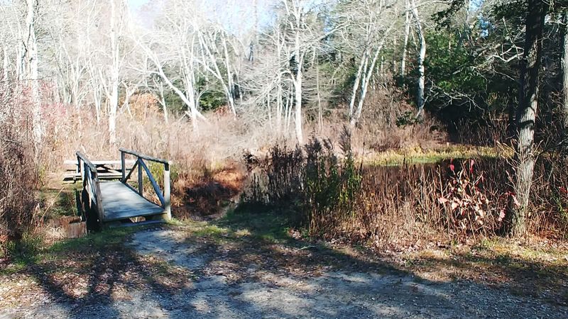 Where The Quiet Trails Begin