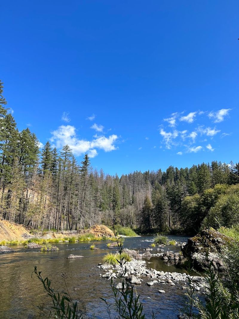 These 9 Oregon Swimming Holes Are So Beautiful Locals Will Lie About Where They Are - Decor Hint Alder Flats, Clackamas River, Mount Hood National Forest