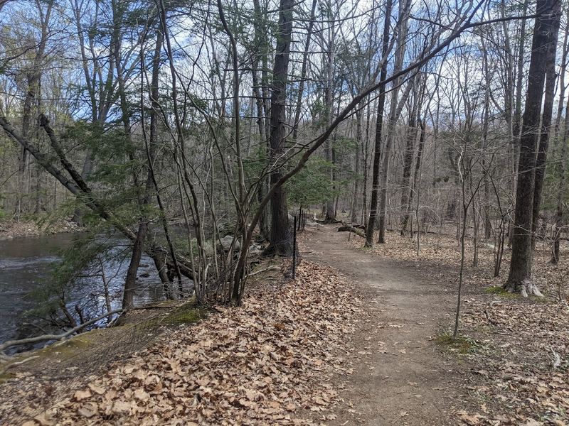 Mianus River State Park, Stamford