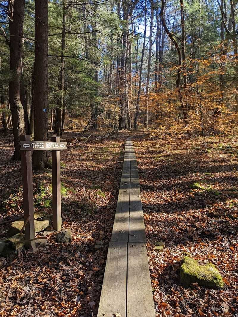 Bearpaw Trail, Allegany State Park, Salamanca