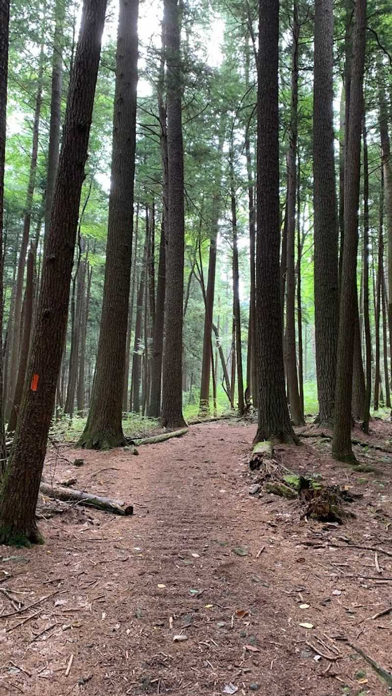 The One-Mile Loop That Packs A Real Punch