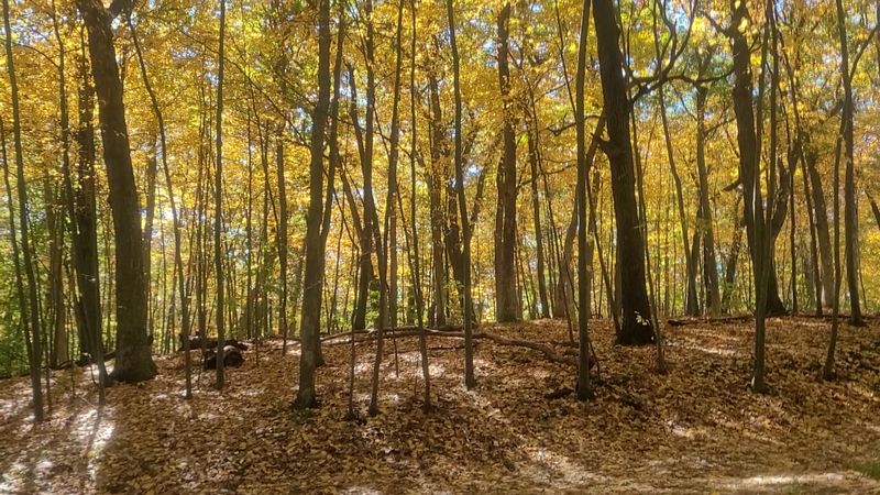 Trails That Earn Their Scenery