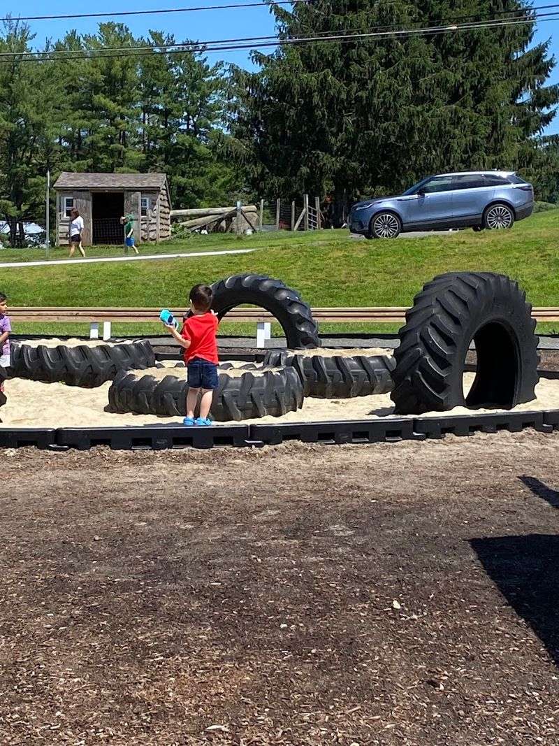 Let Kids Enjoy The Playscape