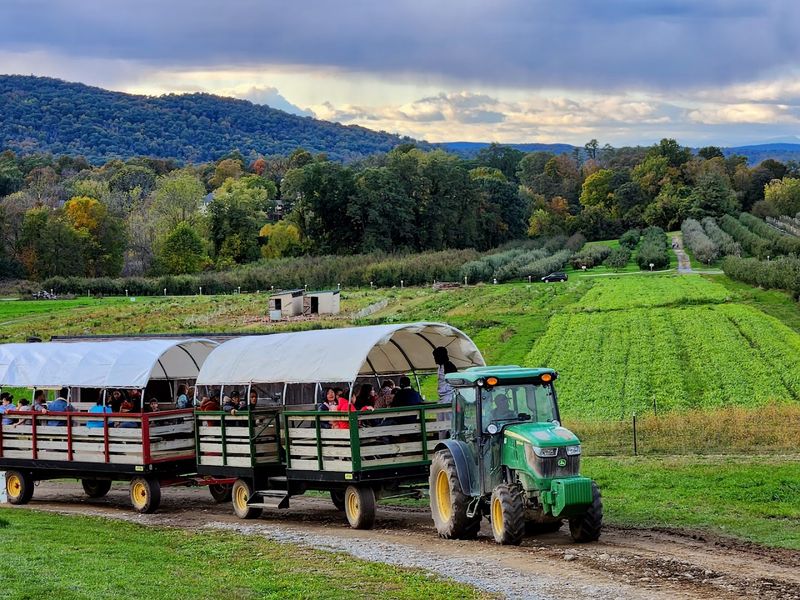 The Hayride You Should Not Skip