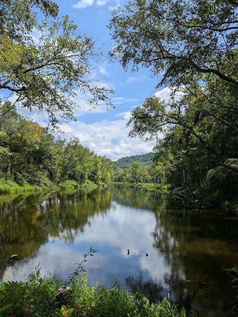 Indian Mountain State Park, Jellico
