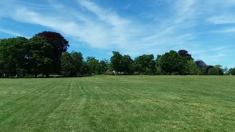 Bring A Picnic For The Big Lawn