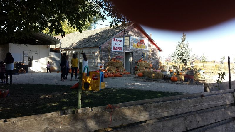 The Store-In-A-Barn Keeps The Country Fun Going