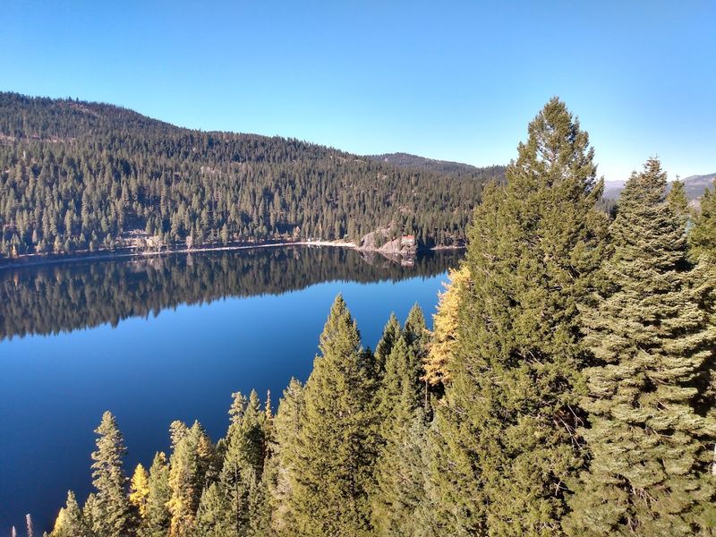 Ponderosa Pines Frame The Town Like A Movie Set