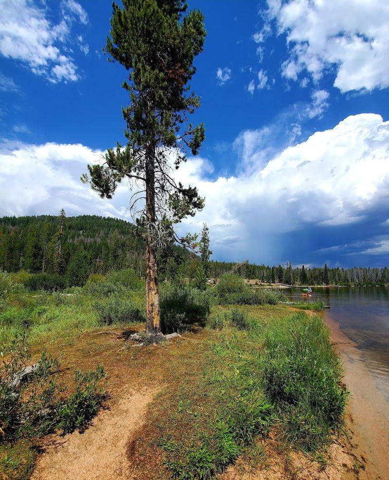 Hiking Trails Worth Every Step