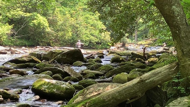 This Loop Feels Like The Easy Answer For Waterfall Lovers