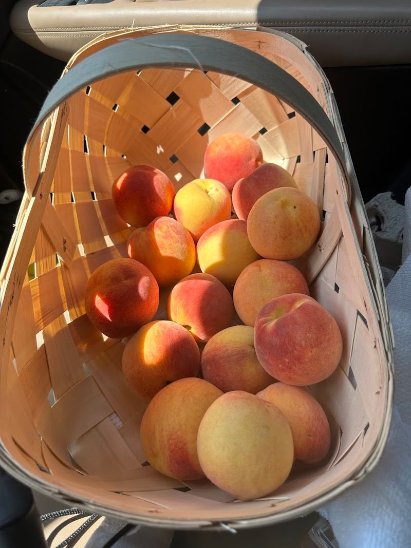 Baskets Provided So You Can Start Picking Right Away