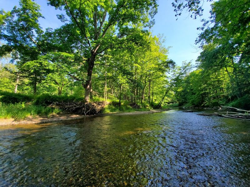 Peaceful Views Along The River