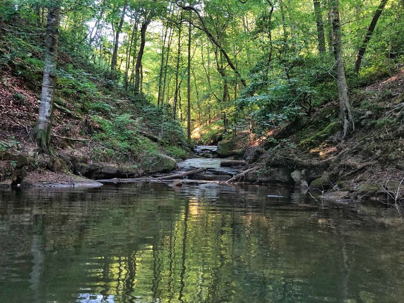 Family fun that doesn't require a boat