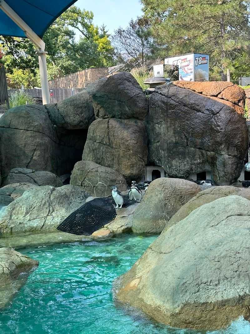 This Hidden Zoo In Michigan Is The Family Day Trip Most People Don't Know About - Decor Hint Open Year-Round With Animals Active In Every Season
