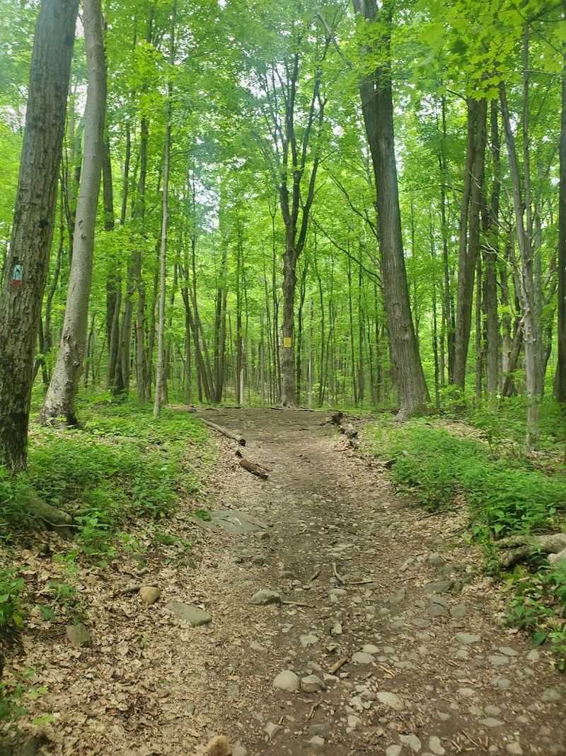 A Favorite Route For Strong Hikers