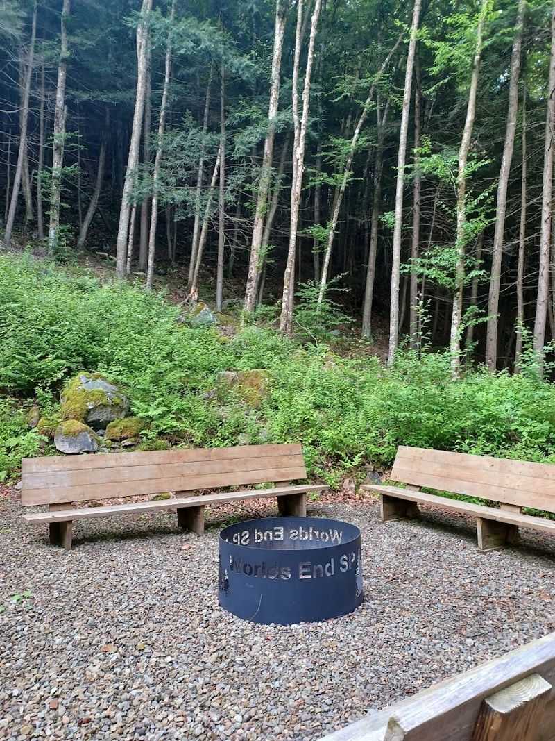 Picnic Areas That Deliver On Atmosphere