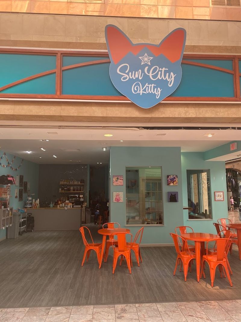 Sun City Kitty, El Paso