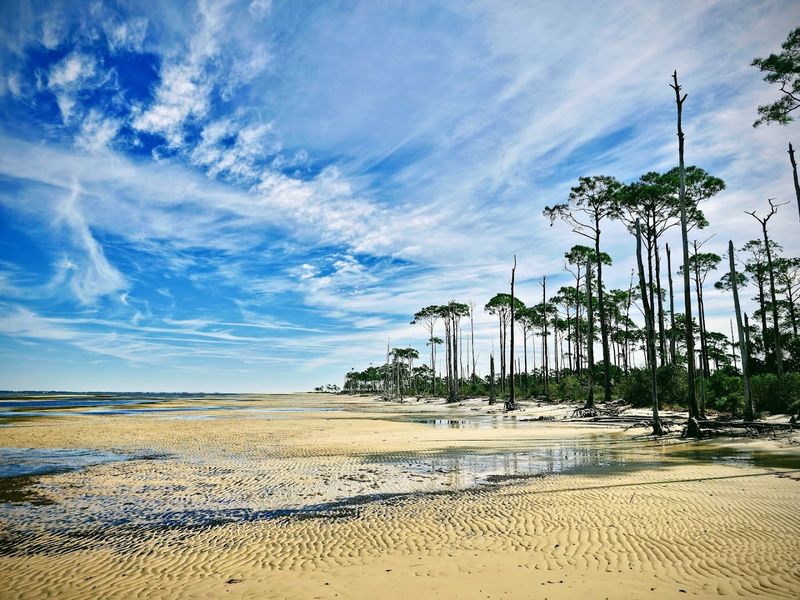 Dr. Julian G. Bruce St. George Island State Park Campground