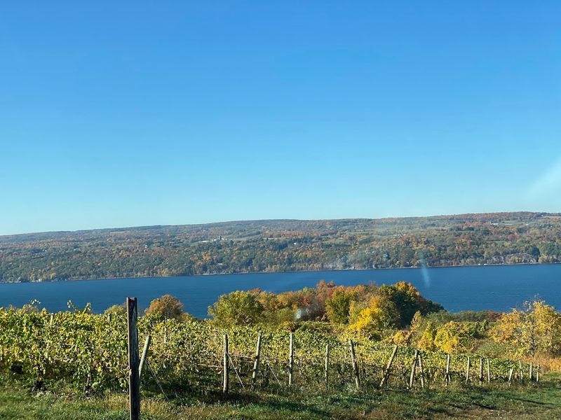Seneca Lake Scenic Byway (Route 414)