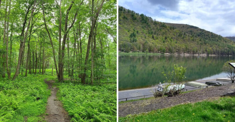 Take A 100-Mile Pennsylvania Drive Packed With Scenery And Completely Free To Enjoy