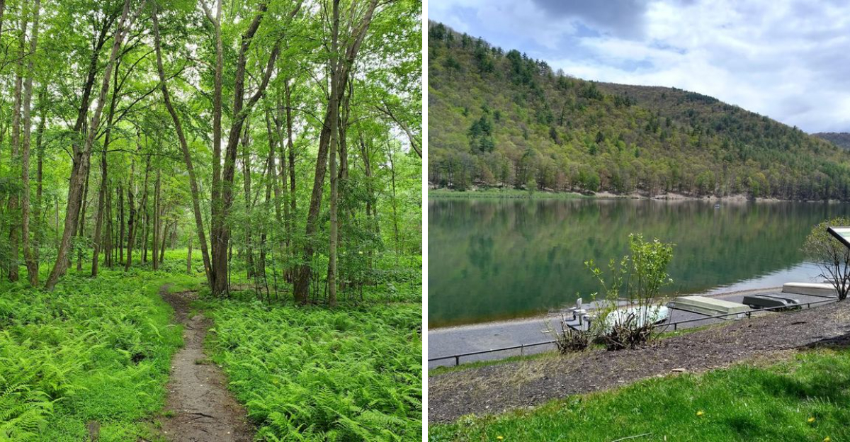 Take A 100 Mile Pennsylvania Drive Packed With Scenery And Completely Free To Enjoy - Decor Hint