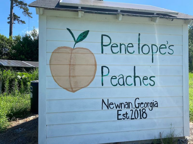 Conveniently Close To Atlanta Hartsfield-Jackson Airport