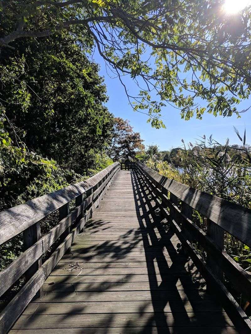 Bluff Point State Park, Groton