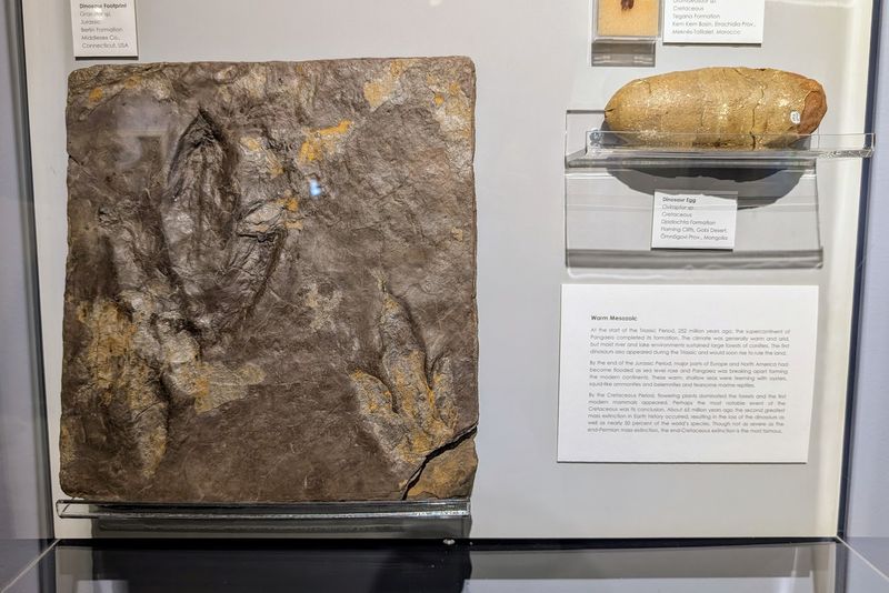 Rhode Island Is Home To A Museum That Feels Like Two Worlds In One - Decor Hint Rocks, Minerals, And Hidden Sparkle