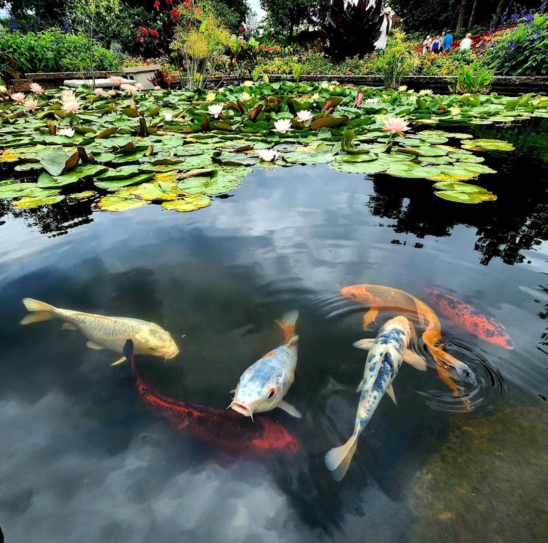 Free Admission Makes The Fairy-Tale Feeling Even Sweeter Before You Reach The Gate