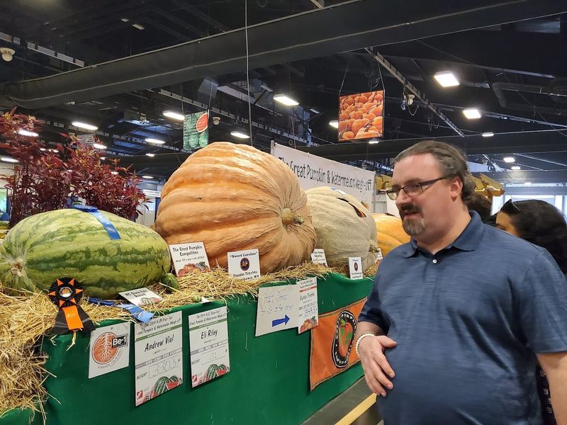 One Gourd Basically Becomes Furniture