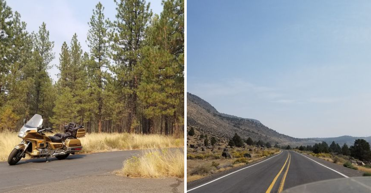 The 171 Mile Oregon Route That Feels Like One Long Hidden Gem - Decor Hint