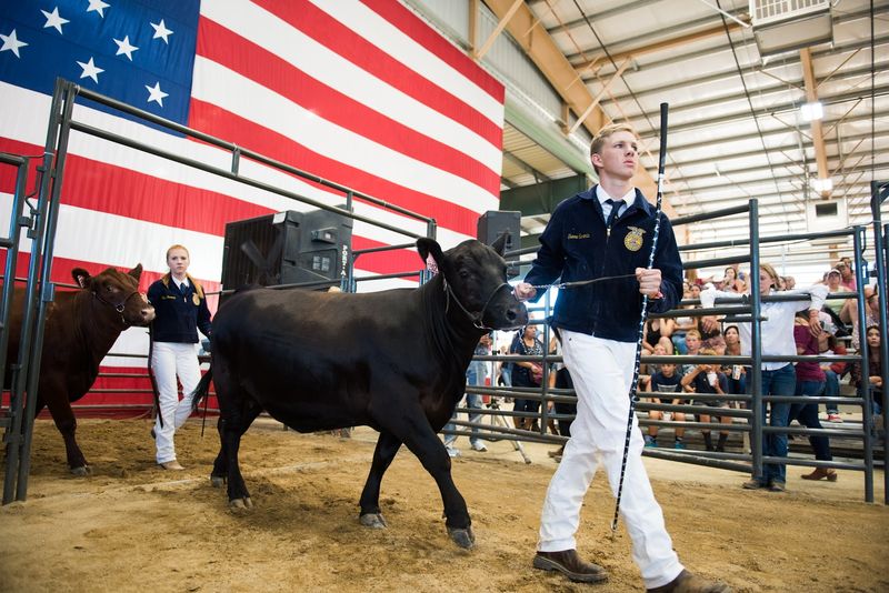 The 805 Beer Country Rodeo Finals Pull In The Biggest Night