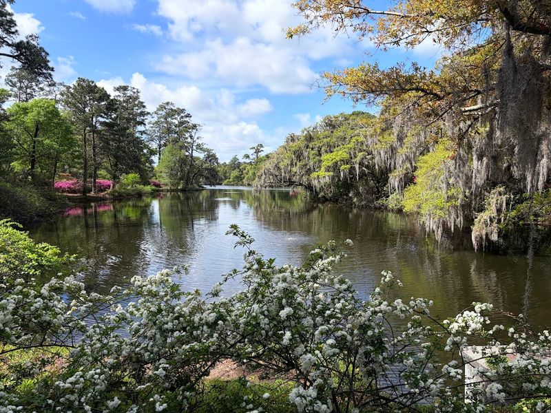 This Coastal Garden Feels Bigger Than A Simple Stroll