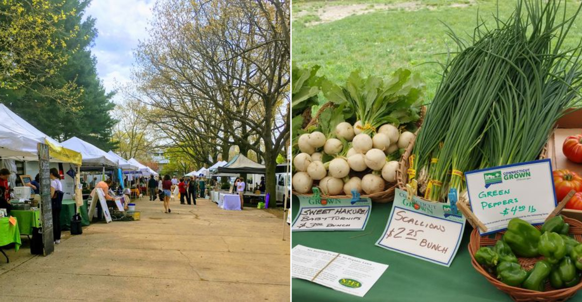 The 8 Most Charming Connecticut Farmers Markets To Visit This Summer - Decor Hint