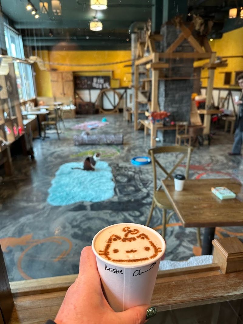 This Washington Cat Café Lets You Sip Something Cozy While Rescue Cats Steal Your Heart - Decor Hint Tips For Making The Most Of Your Visit