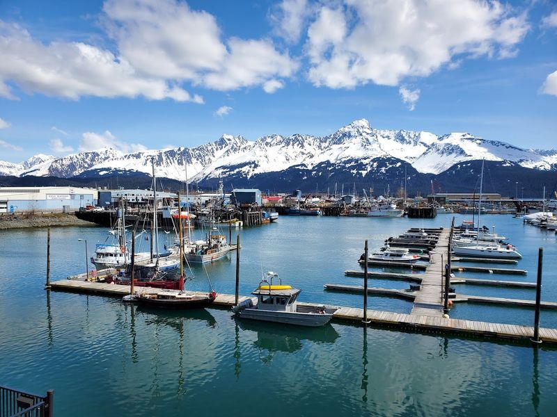 Seward Harbor And The Fishing Life