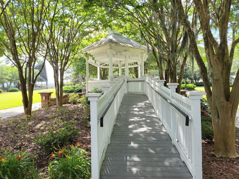 Strolling Through The Langara And St. Marys Spanish Moss Canopy Streets