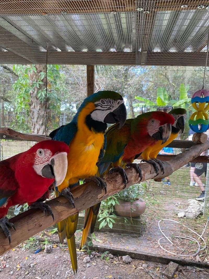 Perfect For Families And First-Timers