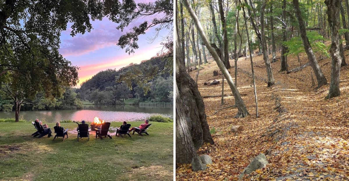 The Beauty Along This Virginia Lake Trail Makes The Whole Outing Worthwhile - Decor Hint