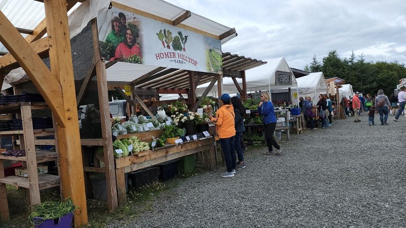 The best finds in Alaska may be hiding at this farmers market - Decor Hint Fresh product bursting with color