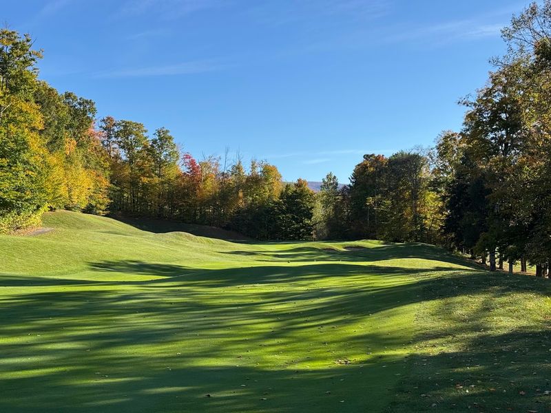 A Local Course With Deep Roots