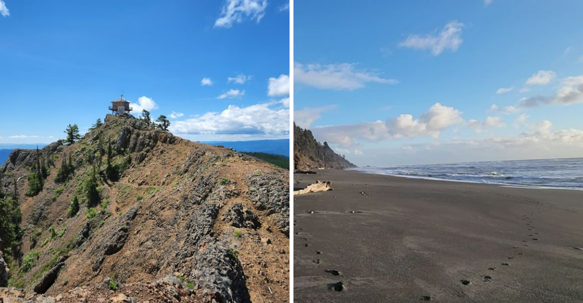 The Best Spots In Washington To Search For Agates Geodes Quartz And More - Decor Hint
