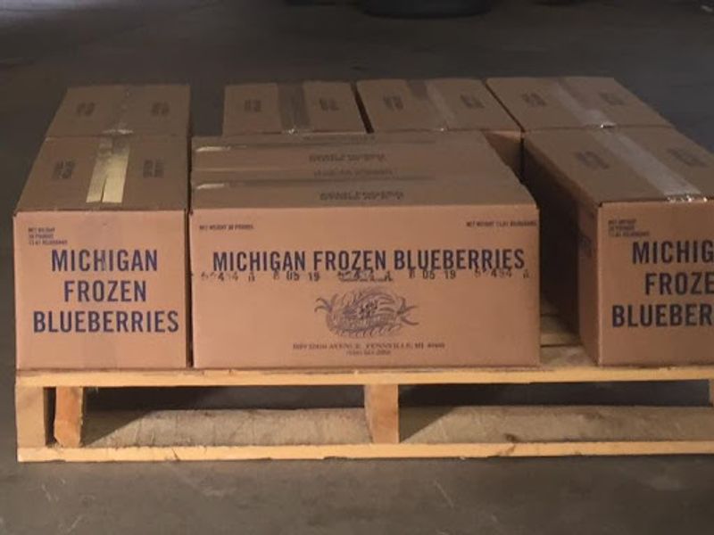 Organic Blueberries And U-Pick Opportunities At The Farm