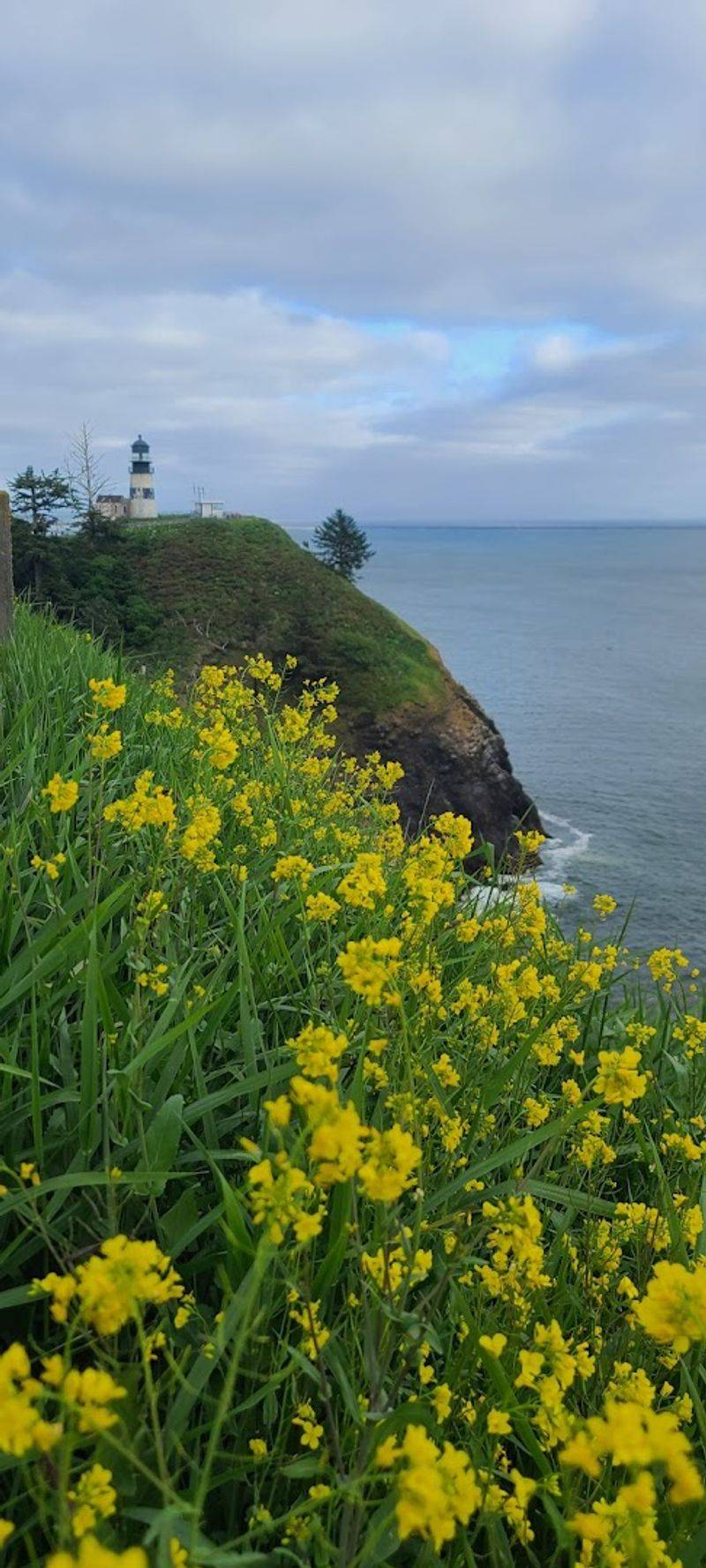 Connecting To The Lighthouse Trail