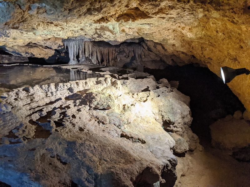 Beneath This Beloved Florida State Park Lies A Remarkable Underground Wonder - Decor Hint Ancient Footprints And Seminole History Beneath The Surface