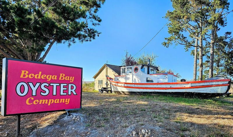 Bodega Bay Oyster Company, Petaluma / Bodega Bay area