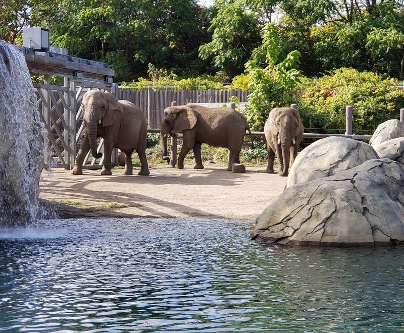 The Park Zoo